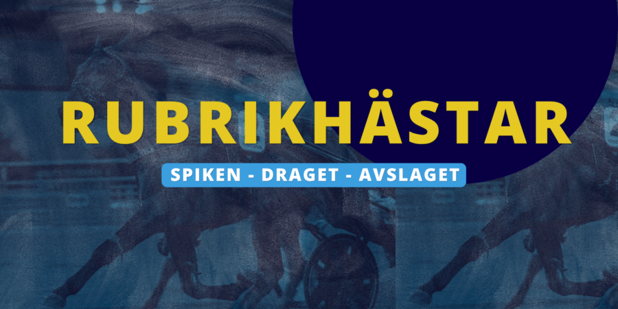 Den nuvarande bilden har ingen alternativ text. Filnamnet är: img-2782.png